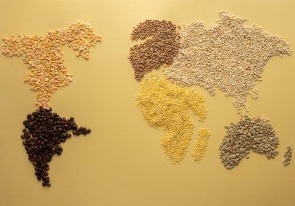 a world map made of grains and beans